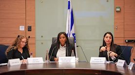 הדיון בוועדה, צילום: דני שם טוב דוברות הכנסת